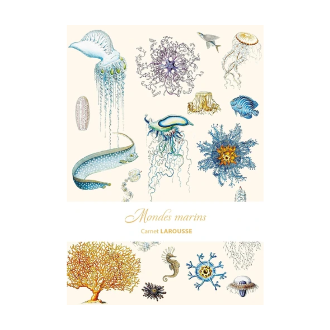 Carnet Larousse Mondes sous-marins - Grand Format