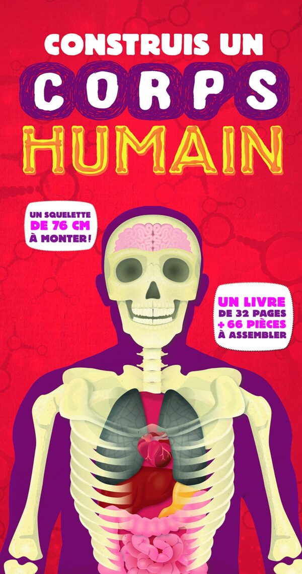 Coffret-Construire-un-corps-humain.jpg