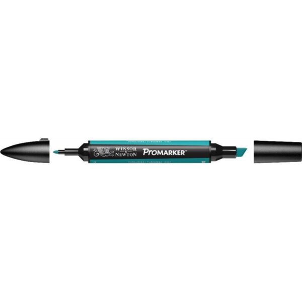 Promarker-Turquoise.jpg