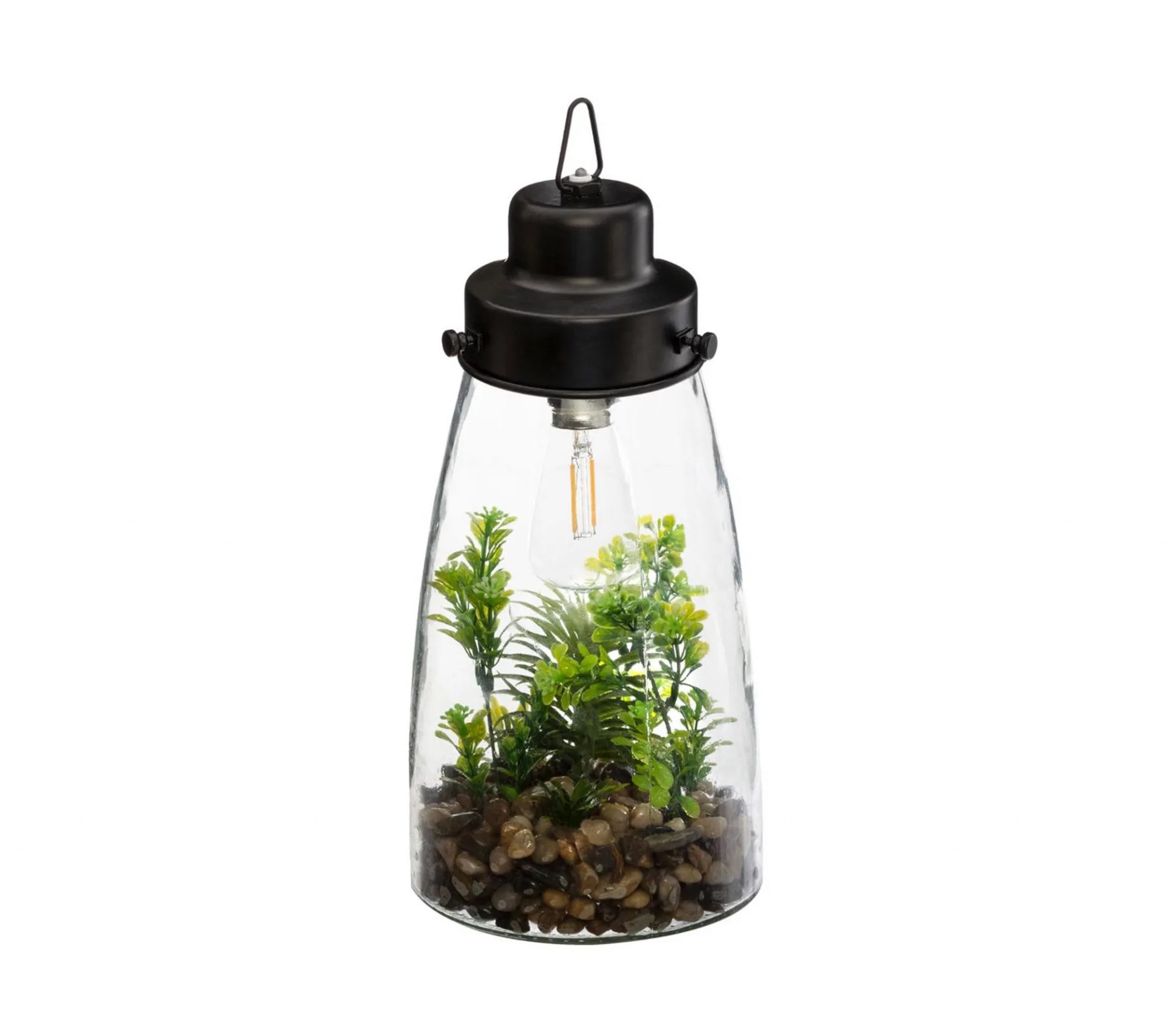 Terranium avec ampoule