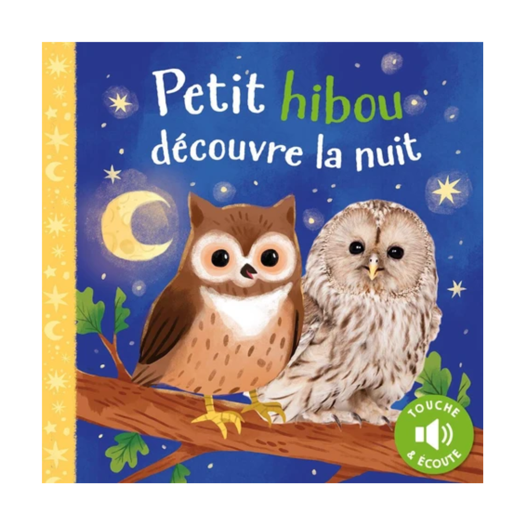 Petit hibou découvre la nuit