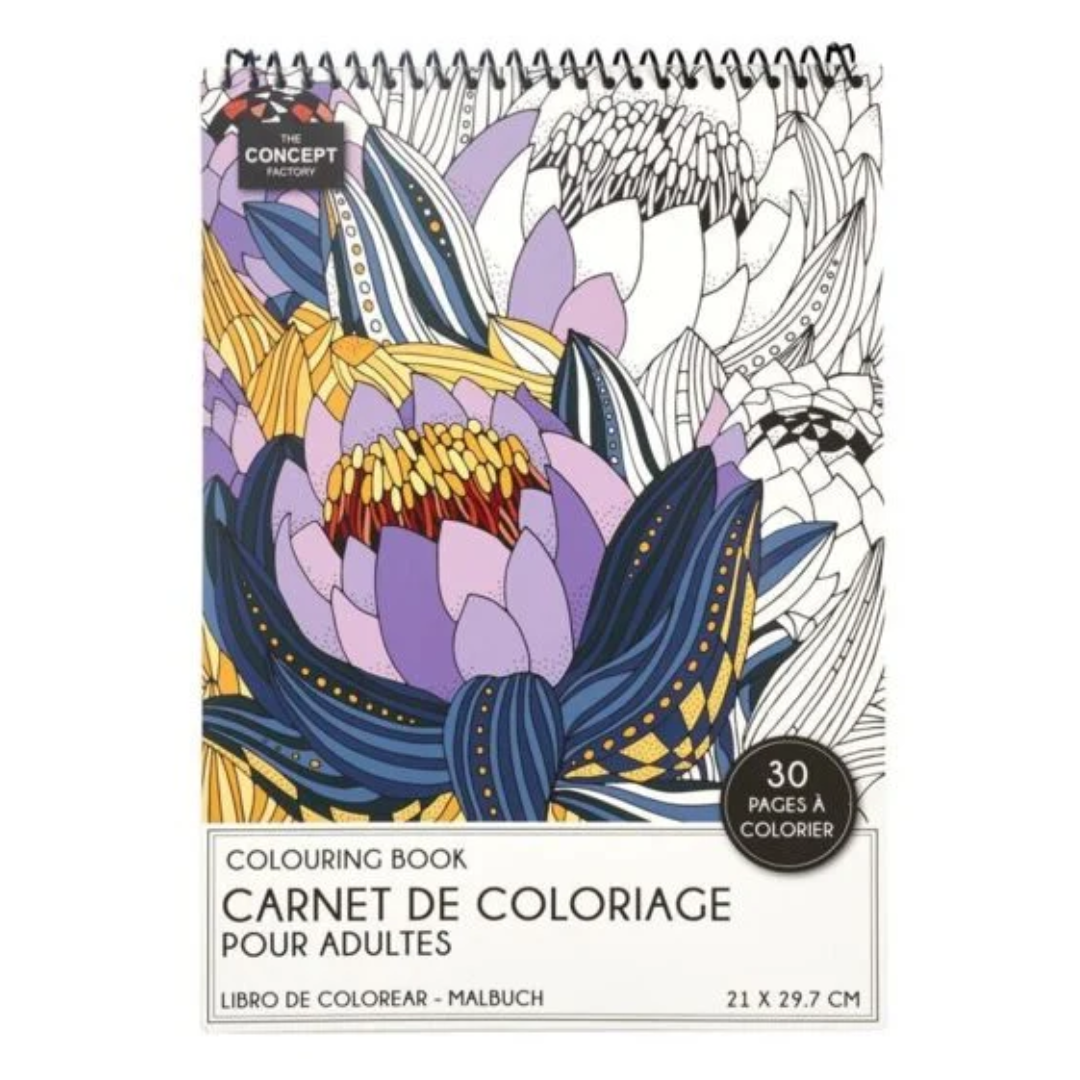 Carnet de coloriage pour adultes - 24 pages
