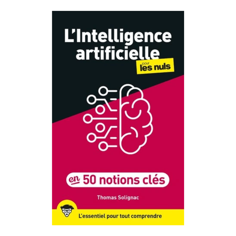 L'intelligence artificielle pour les nuls en 50 notions clés - Grand Format