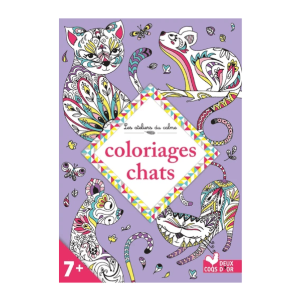 Design sans titre - 2024-07-04T164650.580