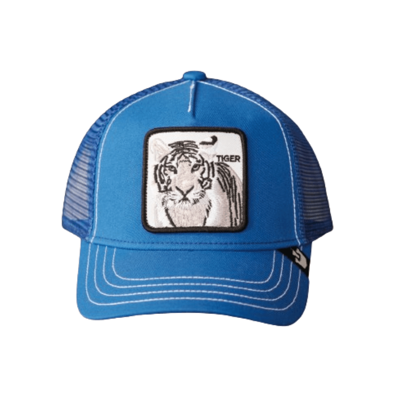 Casquette Stripe Earner