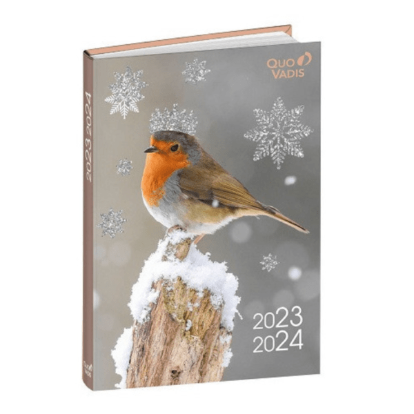 Design sans titre - 2024-08-12T142016.481