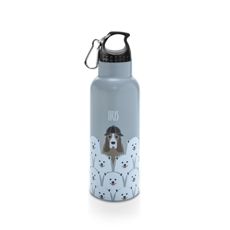 Bouteille isotherme Friends 500 ml - Grise